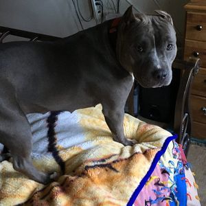 Meet your Posher, Tonya